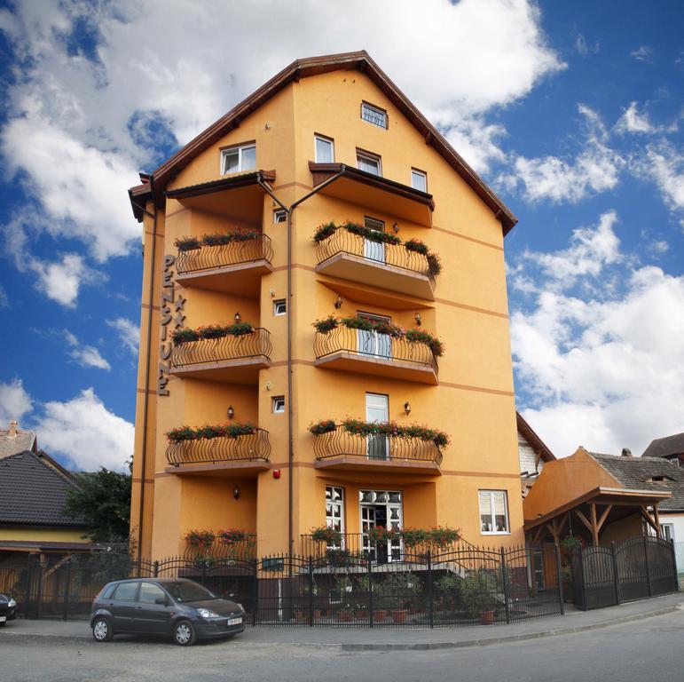 Pensiunea Amso Sibiu